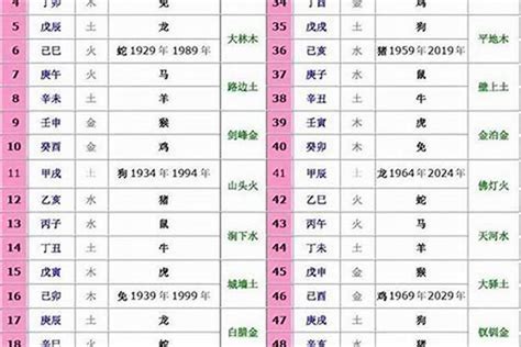 1965年生肖五行|1965年出生是什麼命？